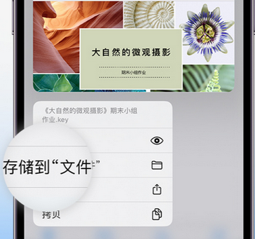 濂溪apple维修中心分享iPhone文件应用中存储和找到下载文件