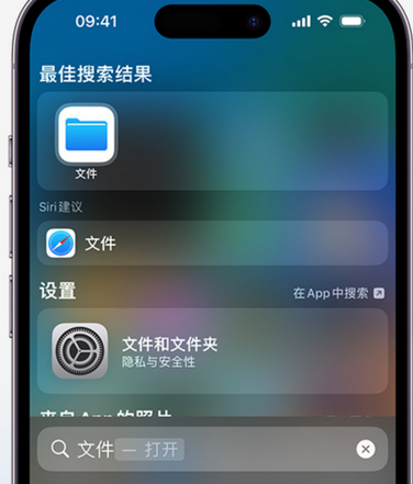 濂溪apple维修中心分享iPhone文件应用中存储和找到下载文件 