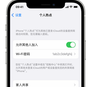 濂溪apple服务站点分享iPhone上个人热点丢失了怎么办 