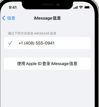 濂溪apple维修iPhone上无法正常发送iMessage信息