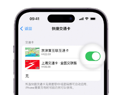 濂溪apple维修点分享iPhone上更换Apple Pay快捷交通卡手绘卡面 