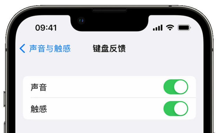 濂溪苹果手机维修分享iPhone 14触感键盘使用方法 