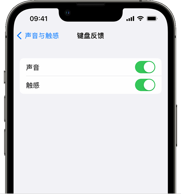 濂溪苹果14维修店分享如何在 iPhone 14 机型中使用触感键盘 