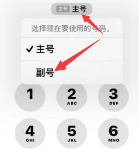 濂溪苹果14维修店分享iPhone 14 Pro Max使用副卡打电话的方法 