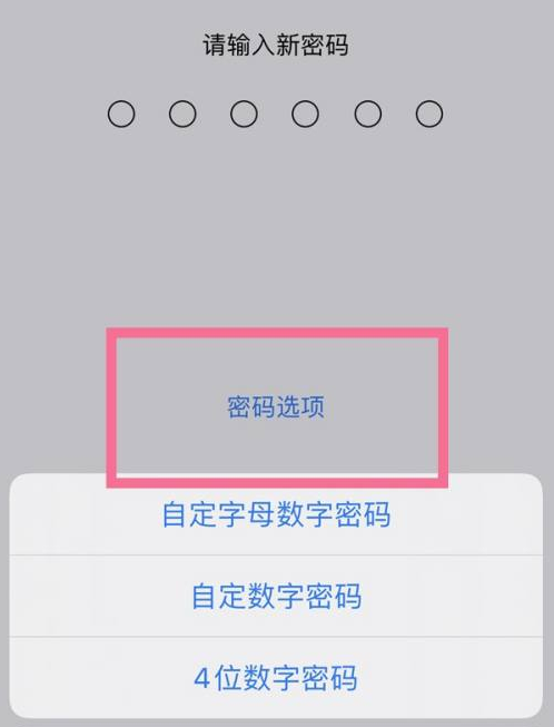 濂溪苹果14维修分享iPhone 14plus设置密码的方法 