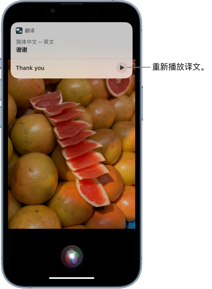 濂溪苹果14维修分享 iPhone 14 机型中使用 Siri：了解 Siri 能帮你做什么 