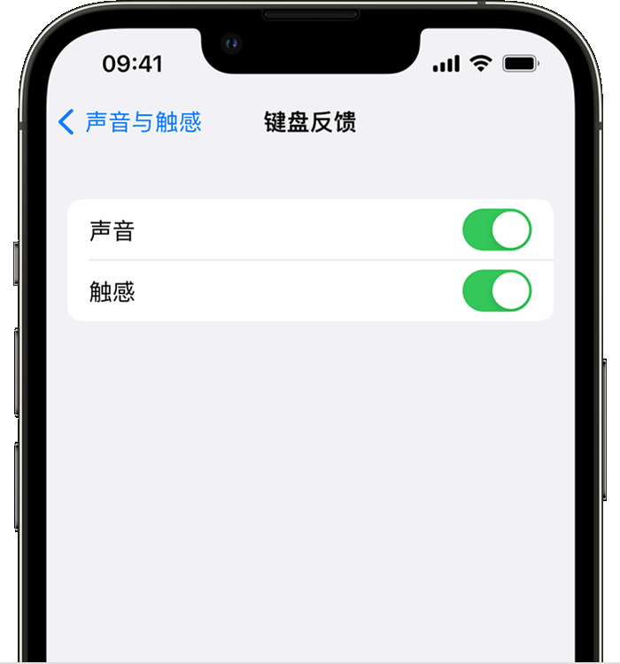 濂溪苹果14维修分享iPhone 14 系列机型如何开启键盘声音或触感反馈 