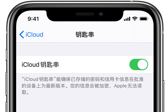 濂溪苹果手机维修分享在 iPhone 上开启 iCloud 钥匙串之后会储存哪些信息 