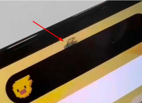 濂溪苹果14维修分享iPhone 14 Pro Max灵动岛怎么养宠物 