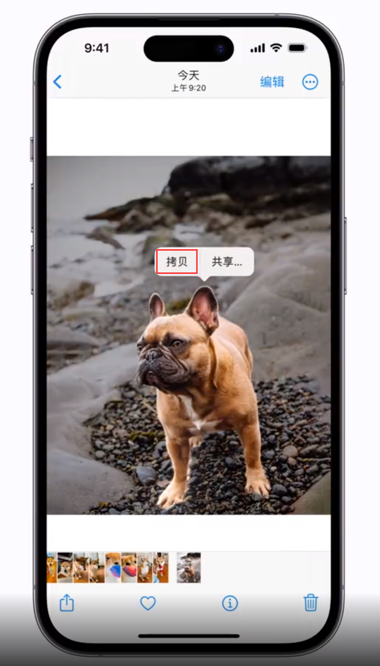 濂溪苹果手机维修分享 iOS 16 自带一键抠图功能 