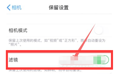 濂溪苹果13维修分享iPhone13拍照有绿点是怎么回事 