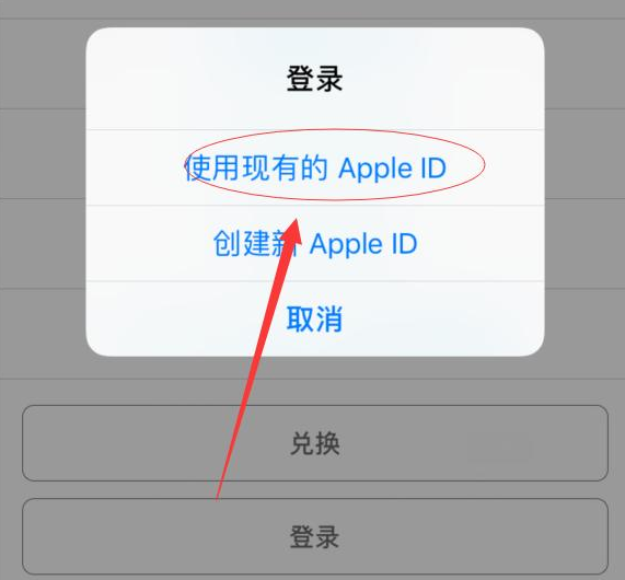 濂溪苹果手机维修分享两台iPhone设备可以同时登录一个Apple ID吗 